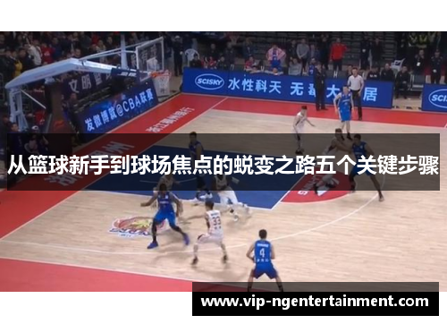 从篮球新手到球场焦点的蜕变之路五个关键步骤