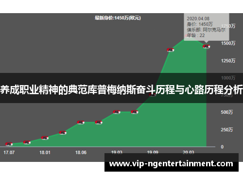 养成职业精神的典范库普梅纳斯奋斗历程与心路历程分析
