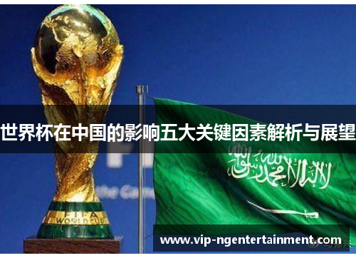 世界杯在中国的影响五大关键因素解析与展望