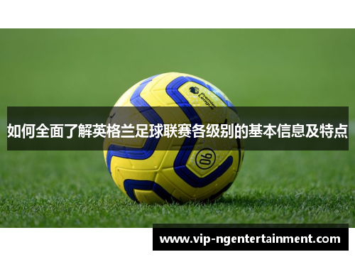 如何全面了解英格兰足球联赛各级别的基本信息及特点