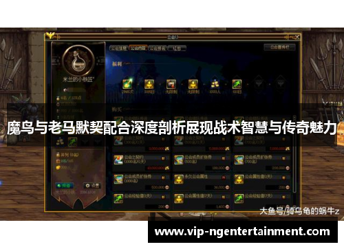 魔鸟与老马默契配合深度剖析展现战术智慧与传奇魅力