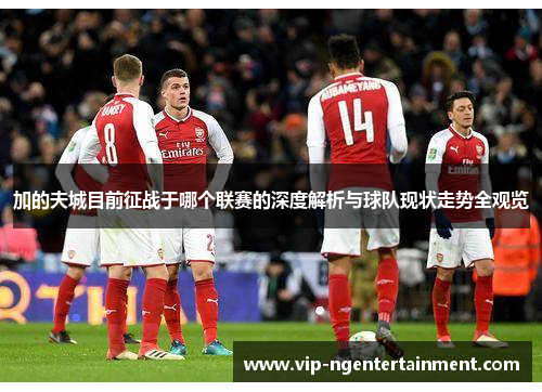 加的夫城目前征战于哪个联赛的深度解析与球队现状走势全观览