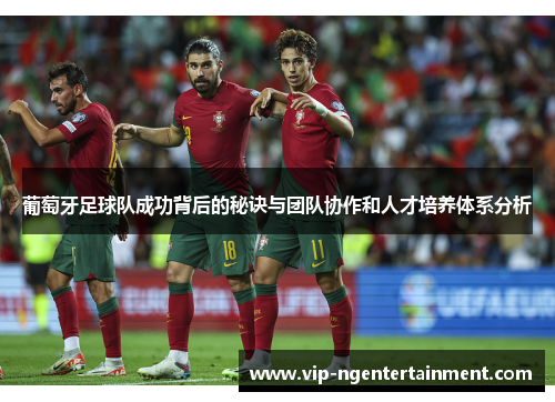 葡萄牙足球队成功背后的秘诀与团队协作和人才培养体系分析