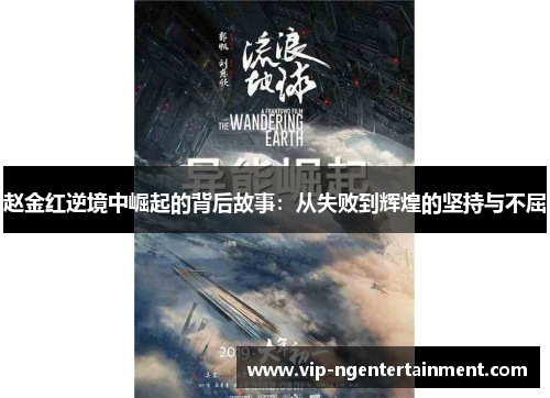 赵金红逆境中崛起的背后故事：从失败到辉煌的坚持与不屈