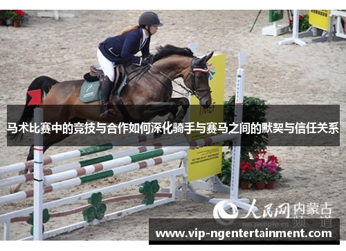 马术比赛中的竞技与合作如何深化骑手与赛马之间的默契与信任关系